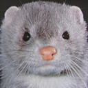 momgomakemefood avatar