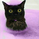 momiwanttobeabutterfly avatar