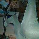 mommysphoseboy avatar