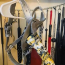 mommystellafantasyblog avatar