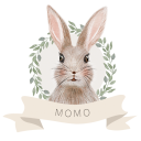 momo-cc avatar