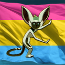 momo-the-homo avatar