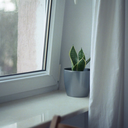 mona-wisniewska avatar