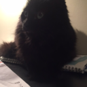 monaaskii-blog avatar