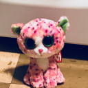 monads-and-glitter avatar