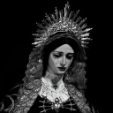 monarchberrysblog avatar