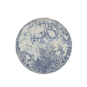 monday-writes avatar