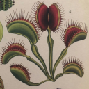 mondaysaretheenemy avatar