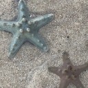 mondeindigeste avatar