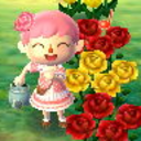 moneyr0ckhasmoved avatar