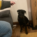 monkey04sblog avatar