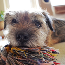 monkeyatheart-blog avatar