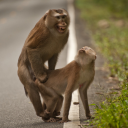 monkeybone138 avatar