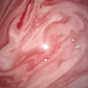 monkeydetective avatar