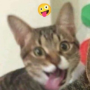 monkeyman1030 avatar