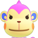 monkeyoftheday avatar