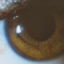 monkeyonmyback avatar