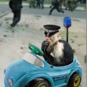 monkeypoliceofficial avatar