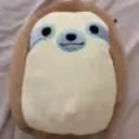 monkeysinger24 avatar