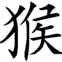 monkeystudios avatar