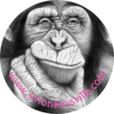 monkeysvillagayhotel-blog avatar