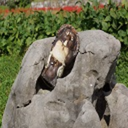 monkiti avatar