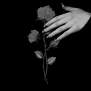 monochromatic-stars avatar