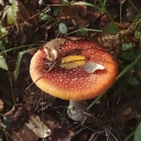 monochrome-story avatar