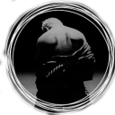 monochromebird avatar