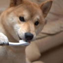 monochromeclown avatar