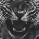 monochromeoverdose avatar