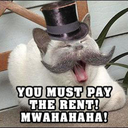 monopolycat avatar