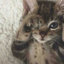 monosan13-ily avatar