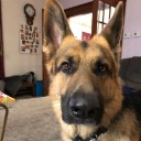 monroe0626librarian avatar