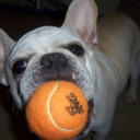 monsieurenault avatar