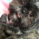 monsieurnumnums avatar