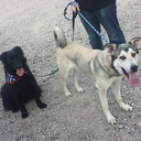 monster-chronicles avatar