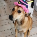 monster-lay-dying avatar