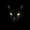 monster-staxxx avatar