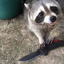 monster03-codywinterera avatar