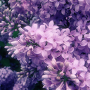 monsterfairytales avatar