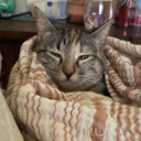 monsterinthetrash avatar