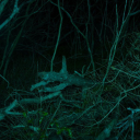 monsterloverwriting avatar