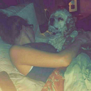 monsters-inadream avatar