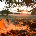 monsters-little-girl avatar