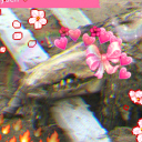 monstershowdowns avatar