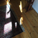 monstersinthevalley avatar