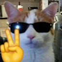 monstersw1thv1bes avatar