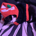 monstiesandglitter avatar