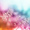 montagemoisito avatar